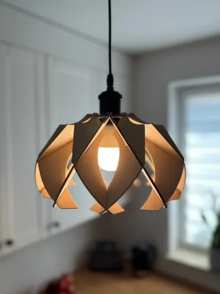 Ceiling Lamp